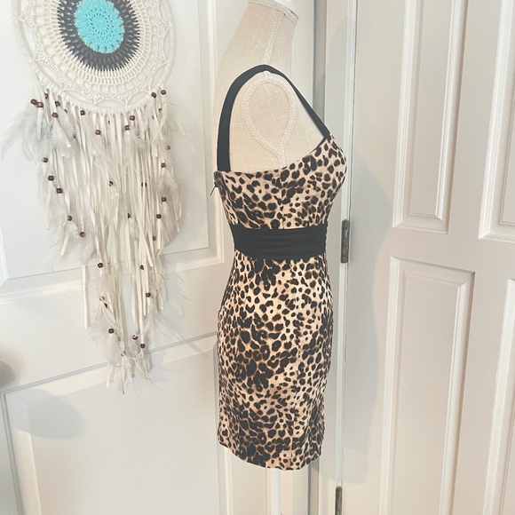 Forever 21 | Y2K Leopard Mesh Sweetheart Bodycon Mini Dress, S-L Fit - Picture 7 of 10